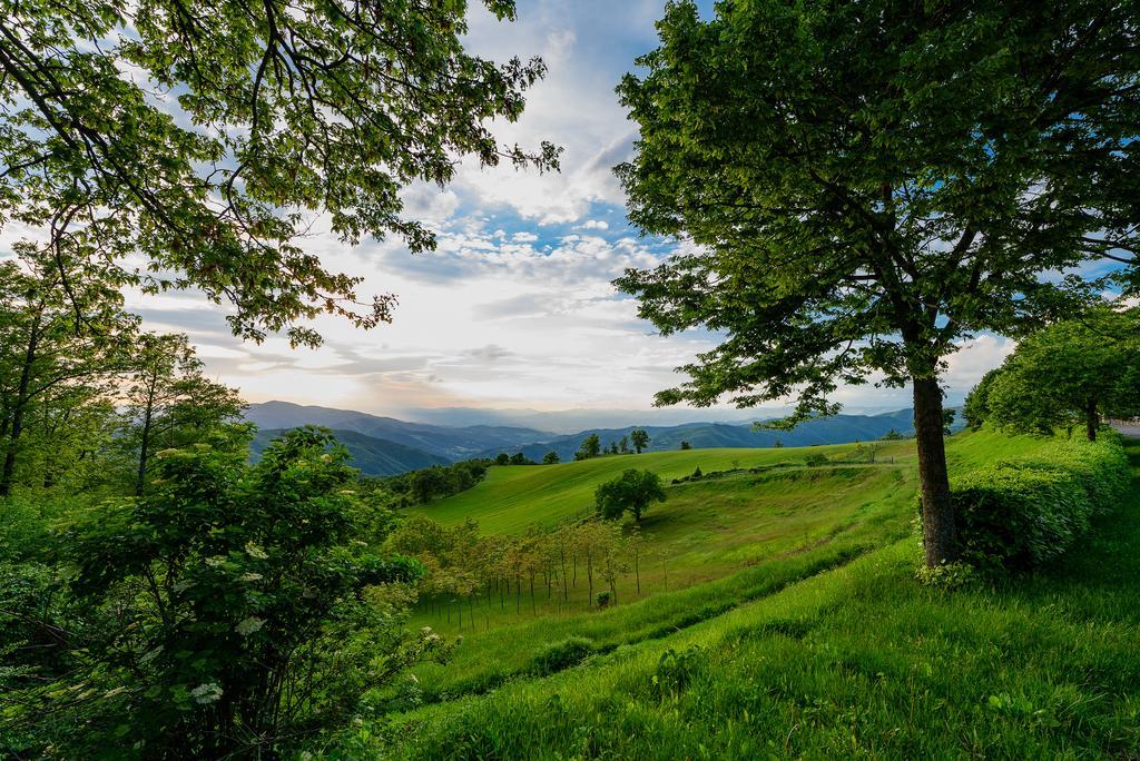 Agriturismo Casapasserini Londa エクステリア 写真