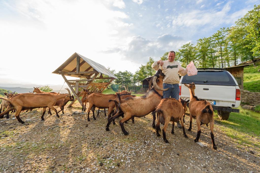 Agriturismo Casapasserini Londa エクステリア 写真