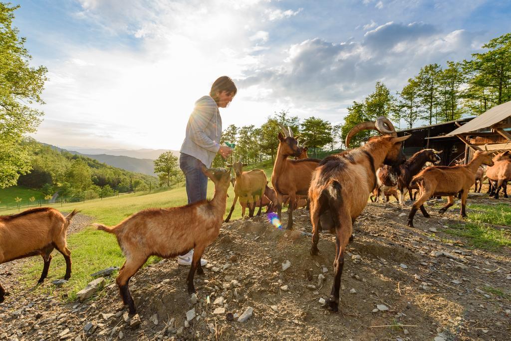 Agriturismo Casapasserini Londa エクステリア 写真