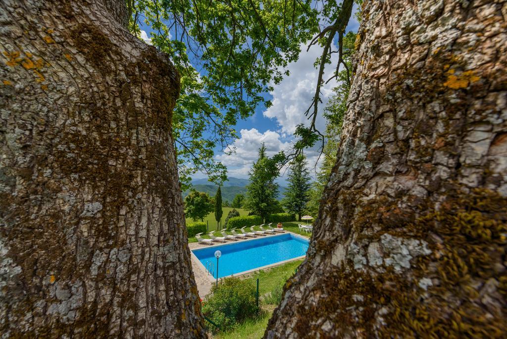 Agriturismo Casapasserini Londa エクステリア 写真