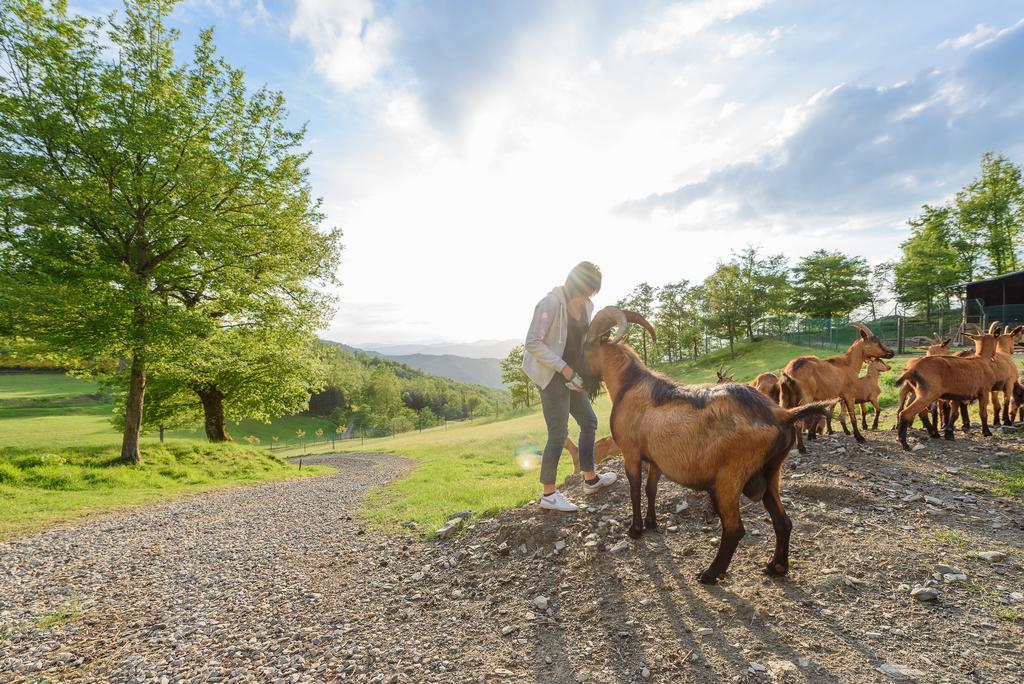 Agriturismo Casapasserini Londa エクステリア 写真